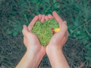 Sopó realizará Feria Ambiental