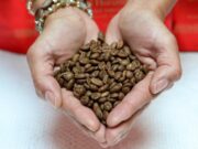 Bancos ofertarán línea crediticia para el sector agropecuario