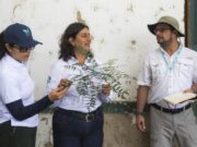 CAR ensaya innovador sistema de siembra