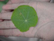 En Madrid, Innovación y Sostenibilidad