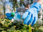 En Sopó, jornada de Recolección