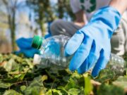 Jornada de Recolección en Tocancipá