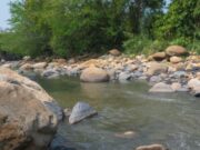 5 mil millones para iniciativas ambientales de asociaciones y juntas de acción comunal