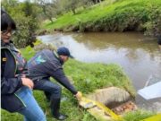 CAR suspende actividades a curtiembre por exceder parámetros de vertimientos al río Bogotá