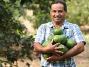 Infórmese acerca del programa de apoyo a insumos agropecuarios en Cundinamarca