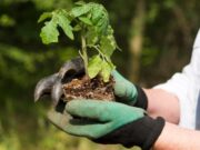 En Facatativá Proyecto Agrícola