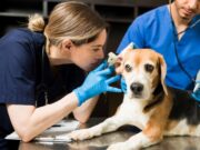 Sopó ofrece Alianza Educativa