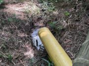 CAR impone medida preventiva a dos avícolas en Guaduas