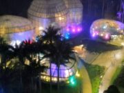 En Bogotá Disfrute del Jardín Botánico de Noche