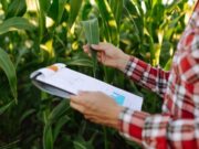 Abierta Convocatoria para apoyo en gestión de recursos en Madrid