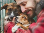 En Cajicá Jornada de Bienestar Animal y Celebración Día del Perro Adoptado