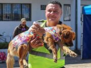 En Sopó, culmina la jornada de esterilización