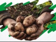 Capacitación de Control de Enfermedades en el Cultivo de papa en Sibaté