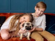 Entrene a Su Mascota en Cajicá