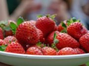 En Soacha Fiesta Campesina