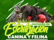 En Sibaté Inician Inscripciones para Jornadas de Esterilización Canina y Felina
