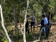 CAR y Policía detienen tala en Villeta con motosierra en mano