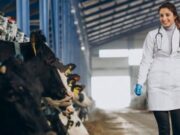 En Tenjo Capacitación en Prácticas Reproductivas en Bovinos