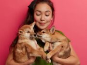 En Fusagasugá Jornada de Bienestar Animal “Animal Fest”