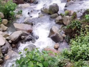 En Albán Jornada de Limpieza “Con Los Tenis Puestos”