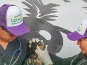 Campaña para el Control responsable de Mascotas en el Municipio de Mosquera