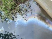 La CAR identifica Cajicá, Chía y Tocancipá como focos de quejas ambientales