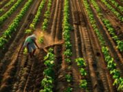 Disfrute del XVII de Expo Agrofuturo 2024