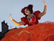 Gran Final en Bogotá del FIAV