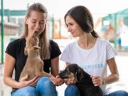 Participe en el Comité de Defensoría Animal de Sopó