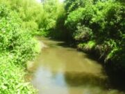 Autoridades Monitorean el Nivel del Río en Riofrío para Prevenir Emergencias