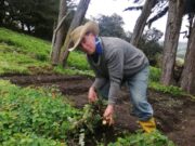 CAR Lanza Programa Ambiental en 15 Municipios