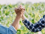 Habilita formulario para Productores afectados por Emergencia Invernal en Cajicá