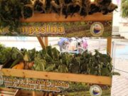 Cundinamarca se suma al Cambio Verde en Madrid y Funza