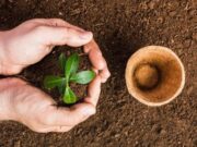 En Sibaté Jornada de Reforestación y Limpieza