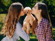 Jornadas de esterilización en Soacha