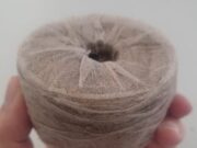 La CAR avanza con éxito en el programa de propagación vegetal en contenedores biodegradables