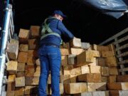 Autoridades decomisan más de 21 metros cúbicos de madera movilizada y explotada sin permisos