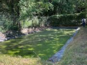 CAR intensifica control y vigilancia en conjuntos residenciales cerca del humedal El Yulo