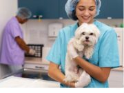 Jornada de Esterilización Gratuita en Madrid