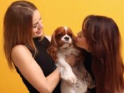 En Mosquera Jornada de Esterilización