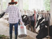 Feria Comercial Ganadera en Fusagasugá