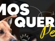 En Mosquera Jornada de Bienestar Animal “MosqueraPet”