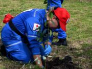 Sibaté Fortalece su Compromiso Ambiental con la Plantación de 500 Nuevos Árboles