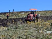 En plena temporada seca CAR verificó tala de más de 240 frailejones en Saboyá, Boyacá