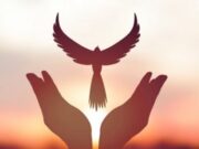 Cota promueve el desarrollo social y la paz