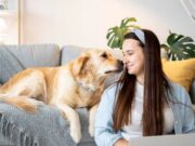 En Sopó Jornada de esterilización canina y felina