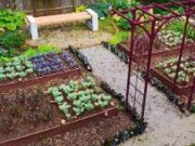 En Tenjo Programa Rural de Huertas Caseras 2025