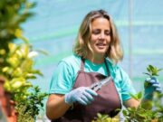 En el Rosal Convocatoria laboral en el Sector Floricultor