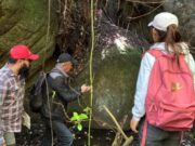 Fortalecen la conservación del Humedal El Charquito en Soacha