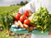 Inscríbase en el Programa Rural de Huertas Caseras en Tenjo
